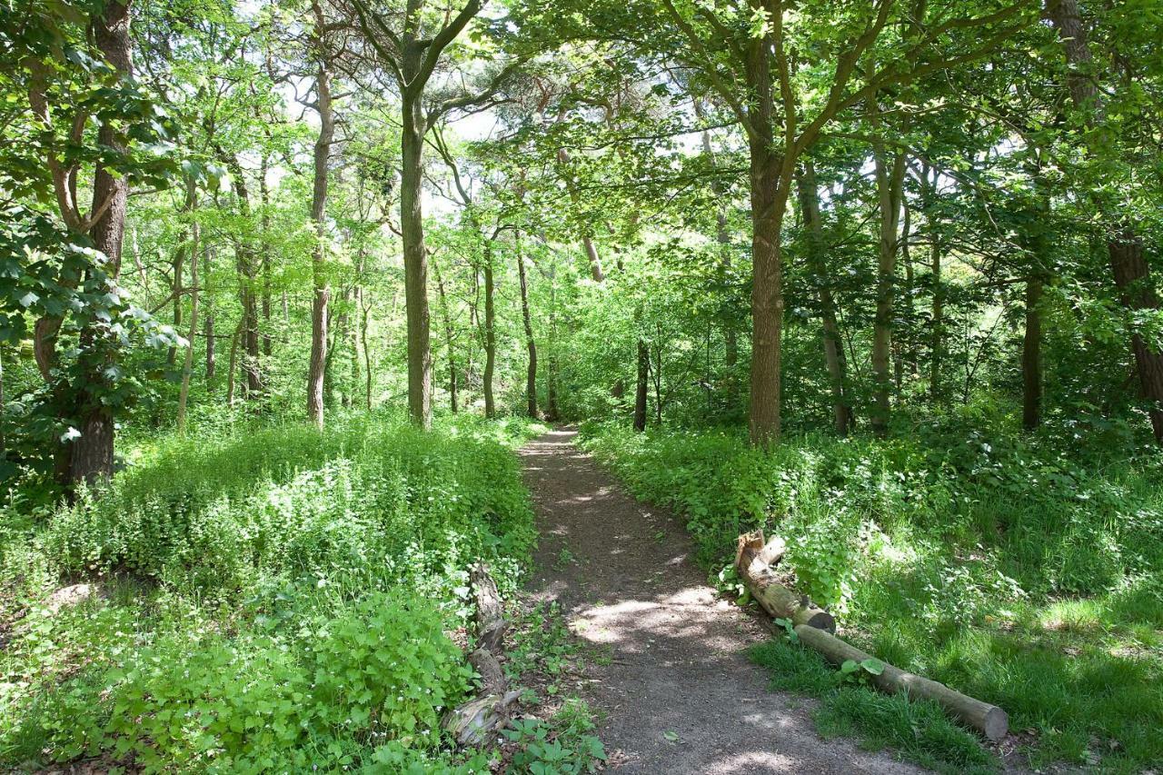 Betonnen Boshuis Oosterhout  Exteriér fotografie